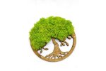 Flukoland Moss Bild Tree of Life Simple S 20cm II | Mobake.sk