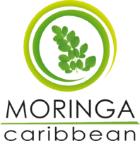 moringa caribbean logo