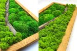 Stáhnout obrázek Flukoland moss Kombinace se dřevem 400 g | Mobake.sk