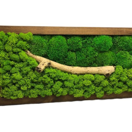 Stáhnout obrázek Flukoland moss Kombinace se dřevem 400 g | Mobake.sk