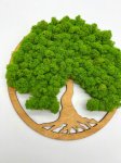Mechová malba Strom života Dub jednoduchý 30 cm